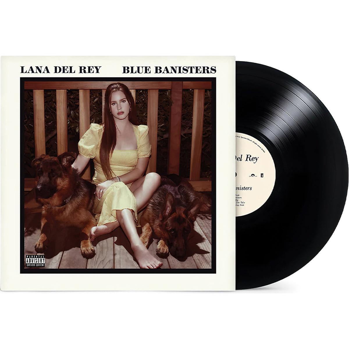 Blue Banisters vinyl record packshot, Lana Del Rey, baroque pop and singer-songwriter style