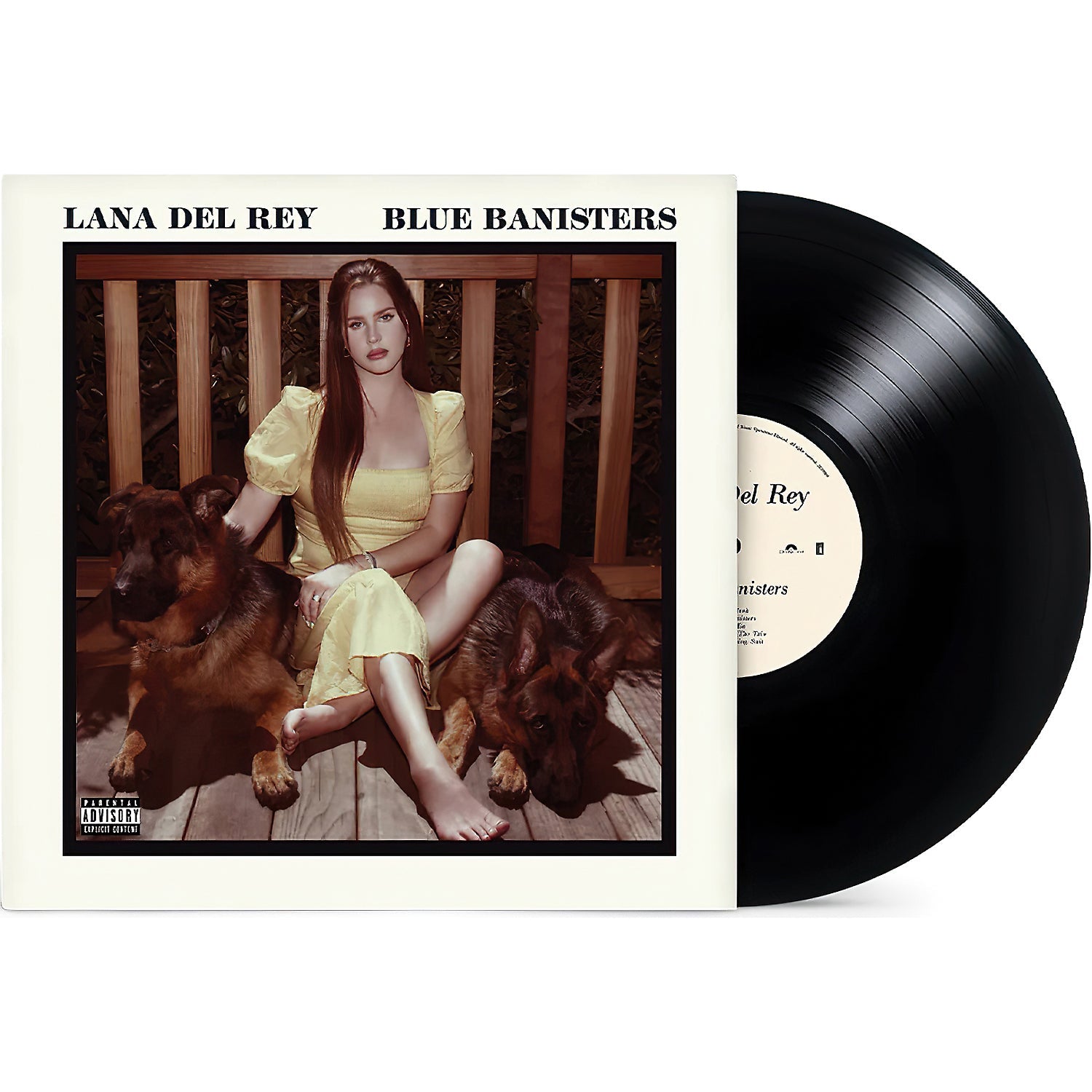 Blue Banisters vinyl packshot, Lana Del Rey gatefold double LP with Arcadia and Dealer, folk pop classic on black vinyl