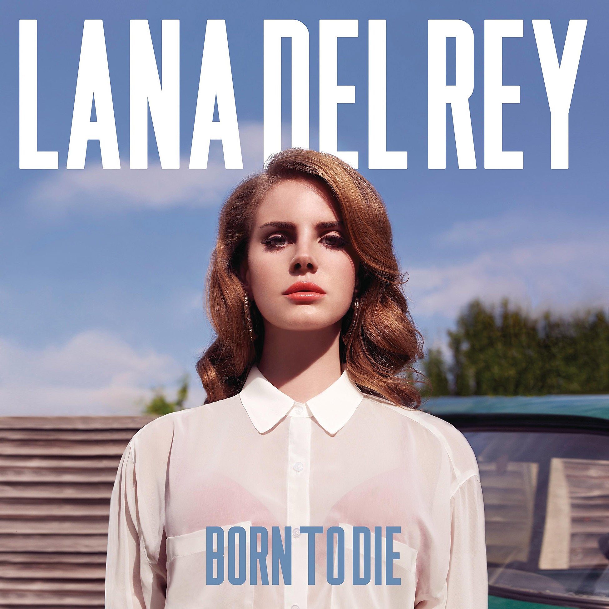 Lana Del Rey, Born To Die, Black Vinyl, cover, album, album art, vinyl
