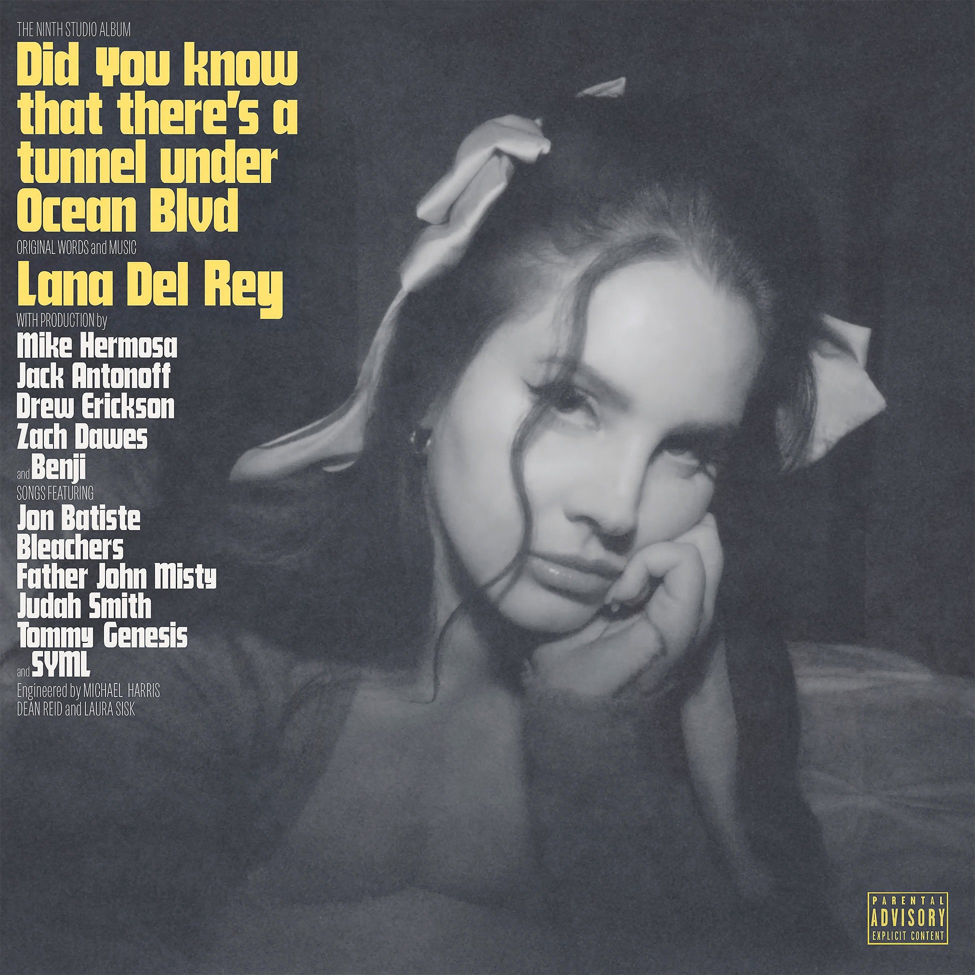 Lana Del Rey - Did You Know That There's A Tunnel Under Ocean Blvd album cover, 180g black vinyl 2LP, gatefold jacket edition - available at ToucanRecords.com