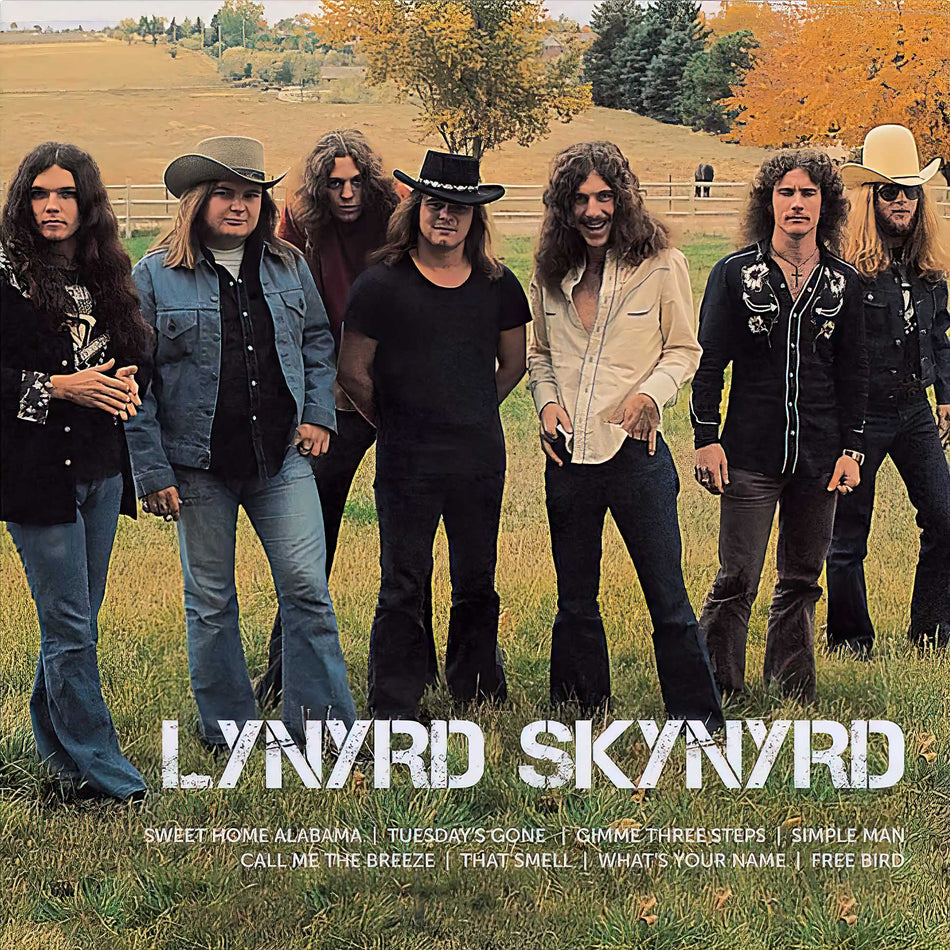 Lynyrd Skynyrd, Icon, 2 LP, cover, album, album art, vinyl