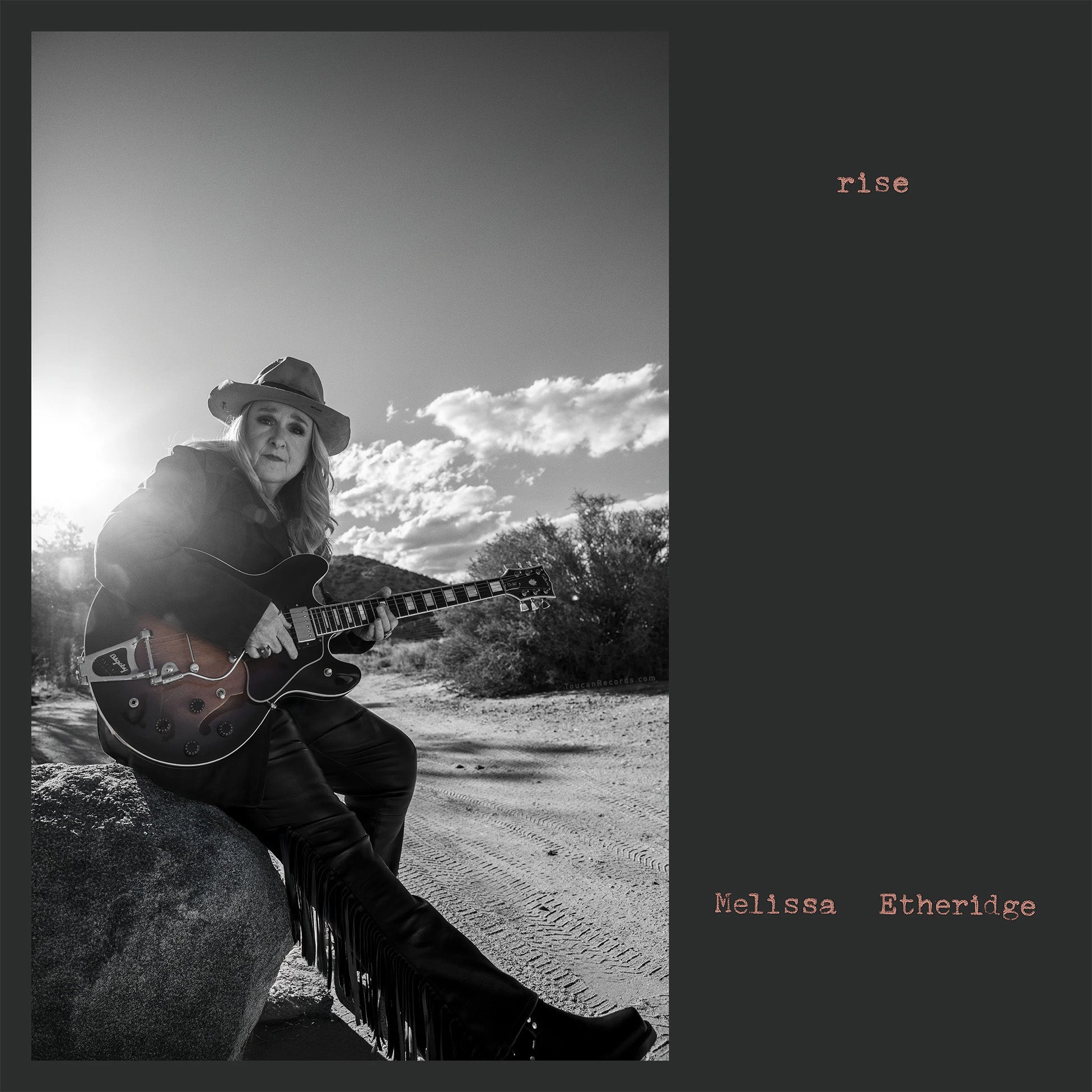 Melissa Etheridge Rise album cover art for tan smoke vinyl LP with gatefold jacket and printed inner sleeve details