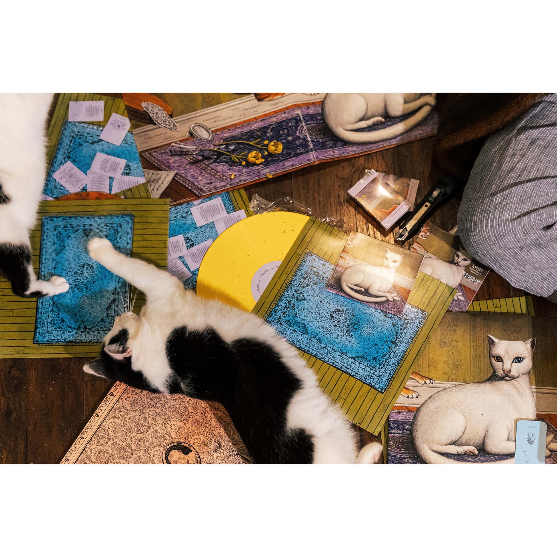 The Tansy Yellow Indie Exclusive release of Mitski's Nothing's About To Happen To Me album which is enjoyed by cats