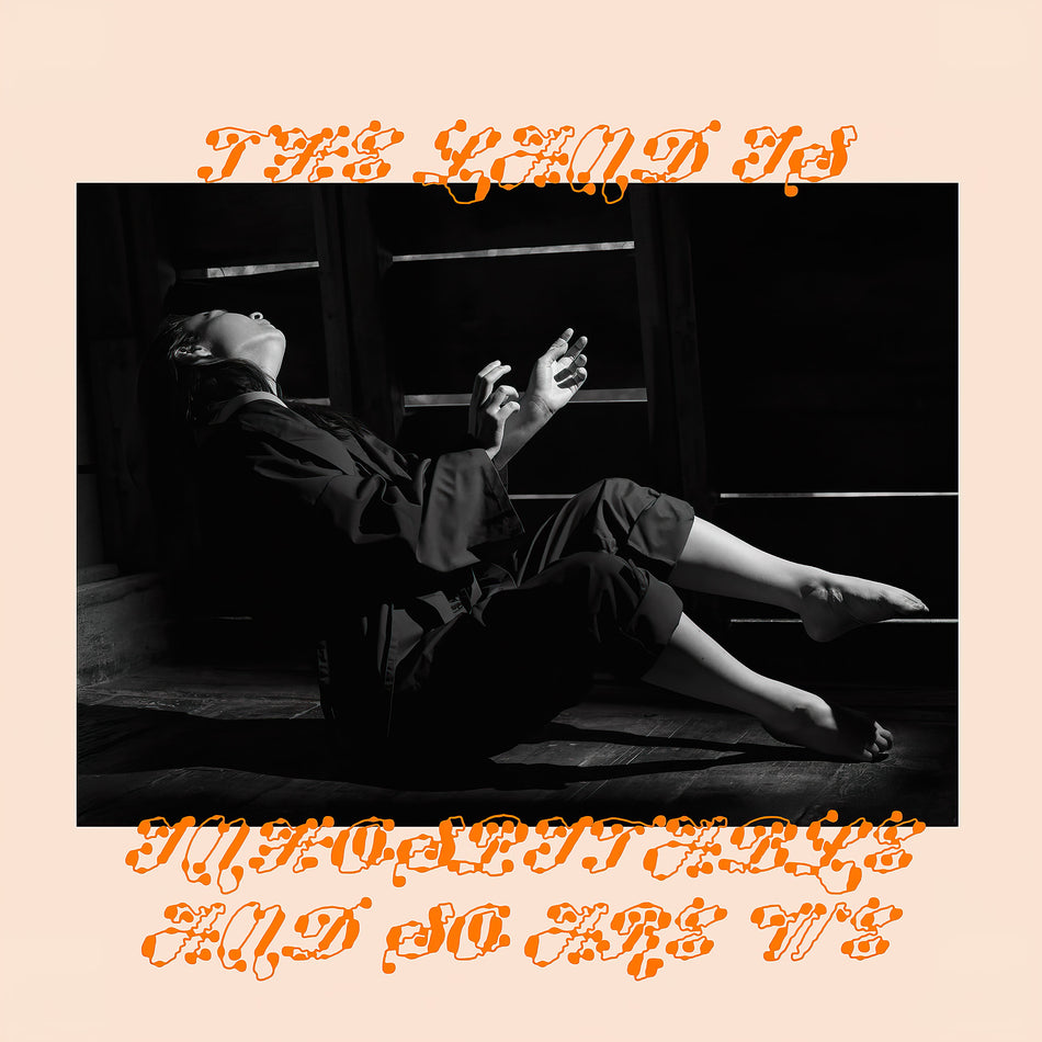 Mitski - The Land Is Inhospitable and So Are We album cover, black vinyl LP, single pocket jacket, flavors of Indie Folk music