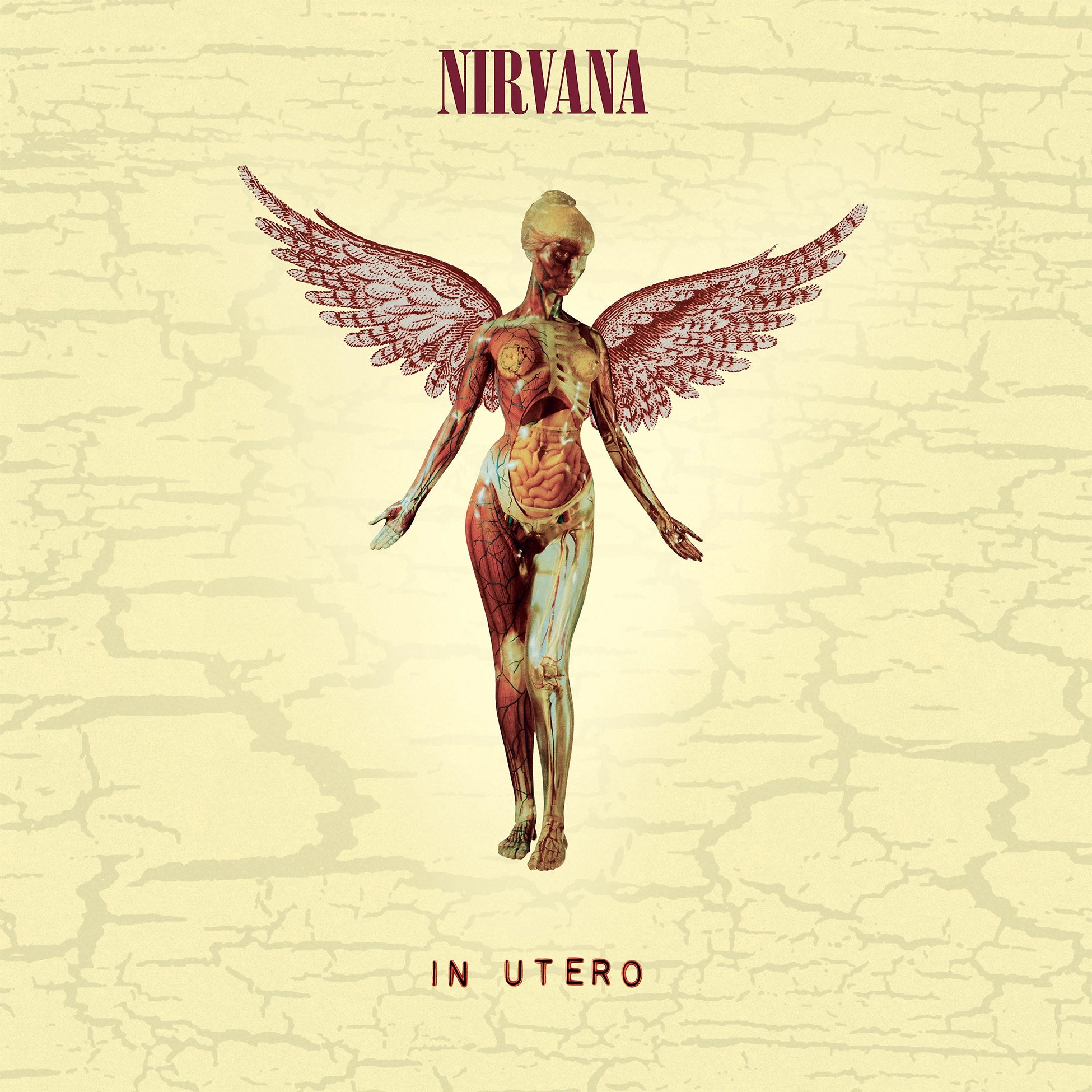 nirvana, in utero, kurt cobain, album cover, album art, cover, cover art, vinyl,