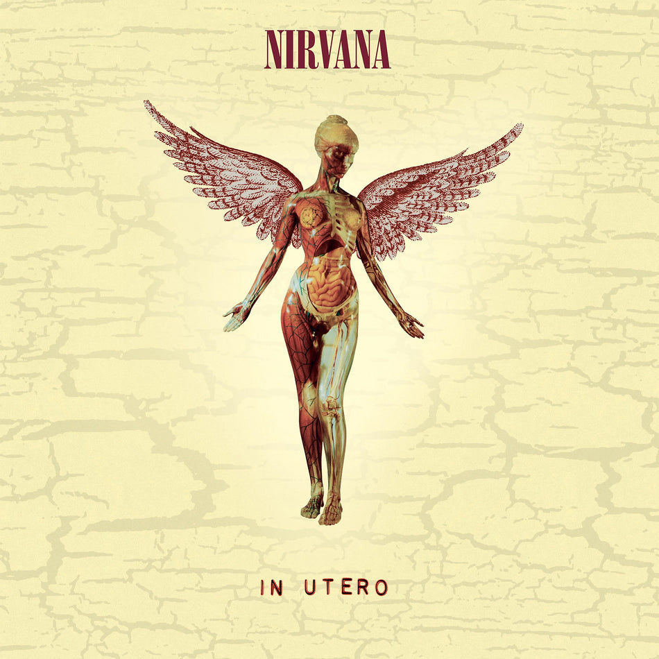 nirvana, in utero, kurt cobain, album cover, album art, cover, cover art, vinyl,
