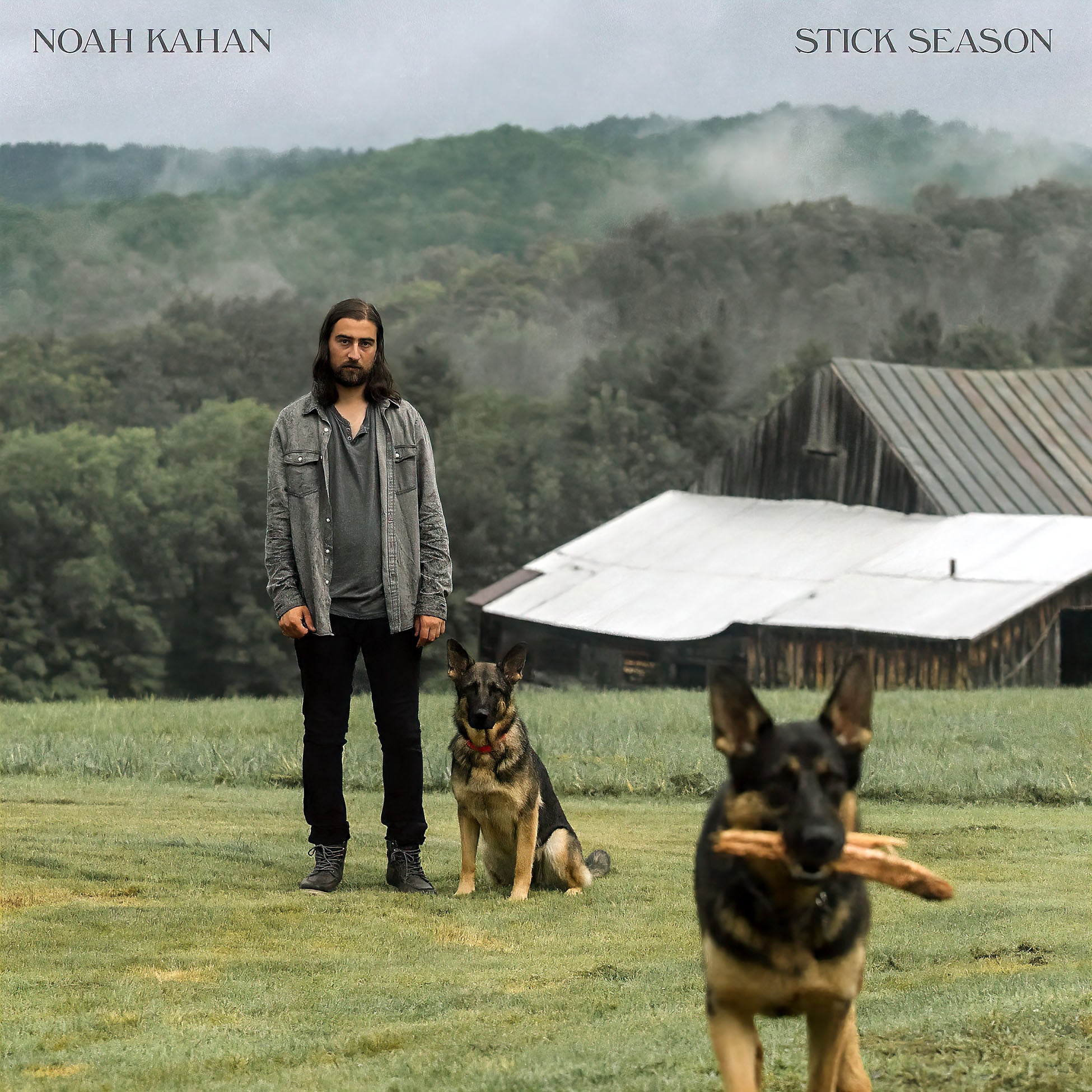 Noah Kahan - Stick Season album cover, brown vinyl Indie Exclusive, folk-pop and Americana. German Shepherd dogs in image.