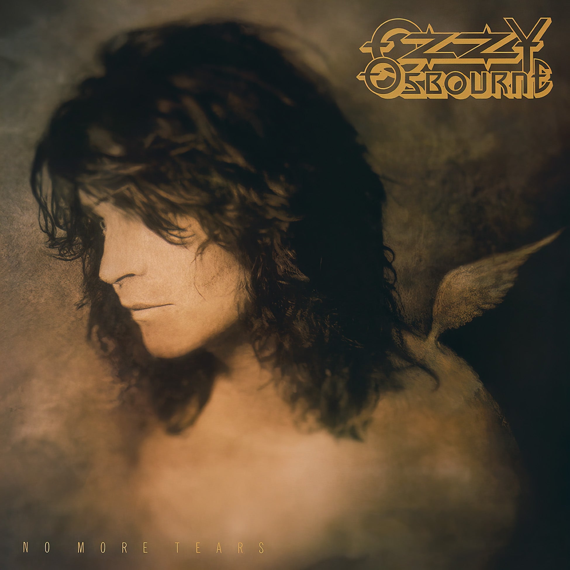 ozzy osbourne, no more tears, vinyl, 2 lp, black vinyl, album cover, cover, album art, cover art, mama I'm coming home,