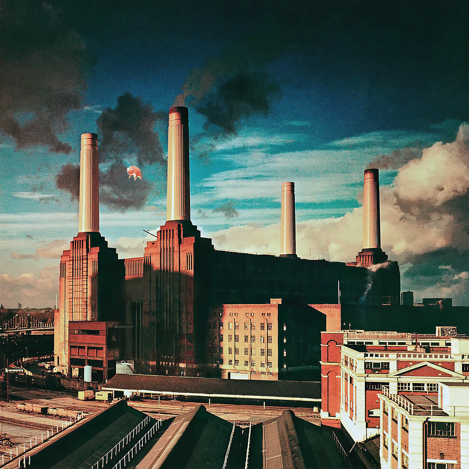 pink floyd, animals, remastered, pig, cover, album cover, cover art, vinyl, record, flying pig,