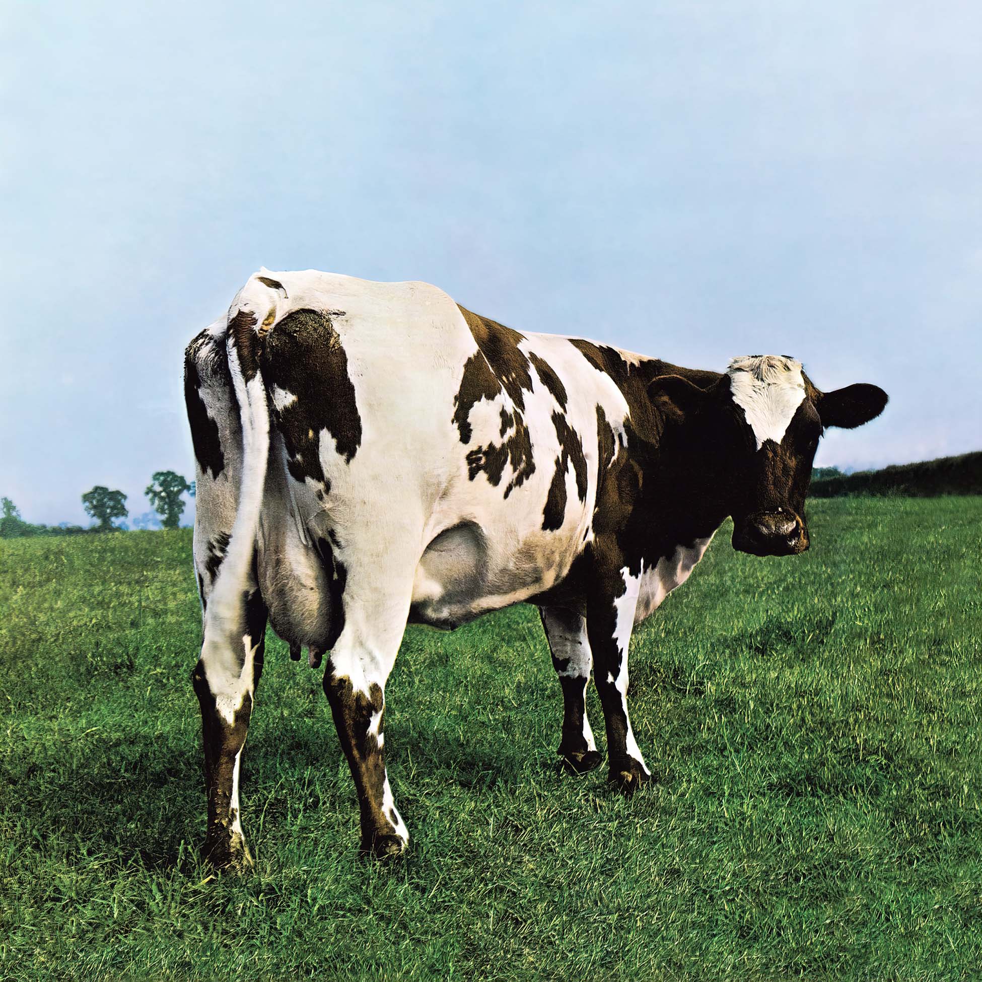 Pink Floyd Atom Heart Mother album cover, 180g vinyl gatefold reissue, iconic Hipgnosis Holstein cow artwork at ToucanRecords.com