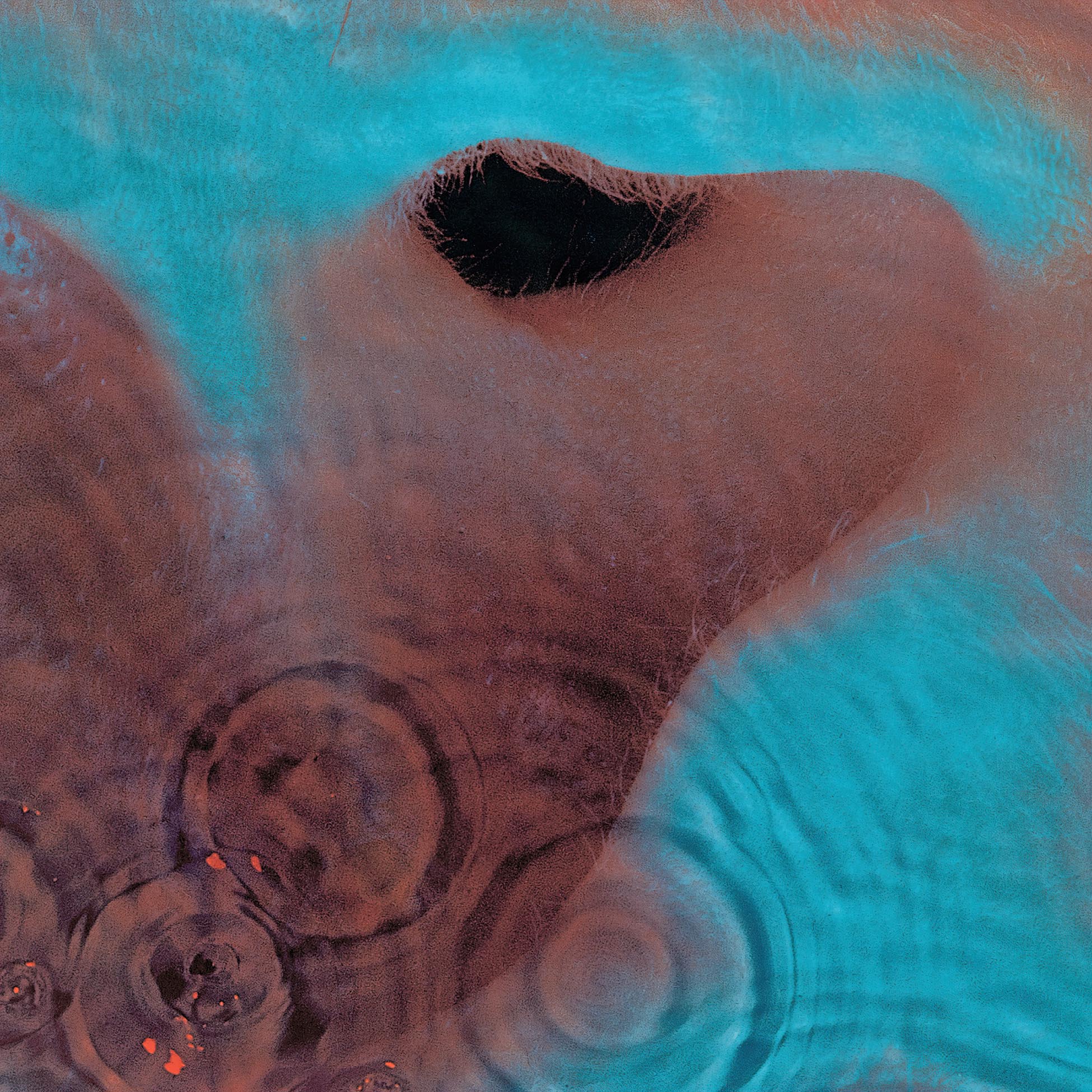 Pink Floyd - Meddle album cover, 180g black vinyl remaster, textured gatefold jacket