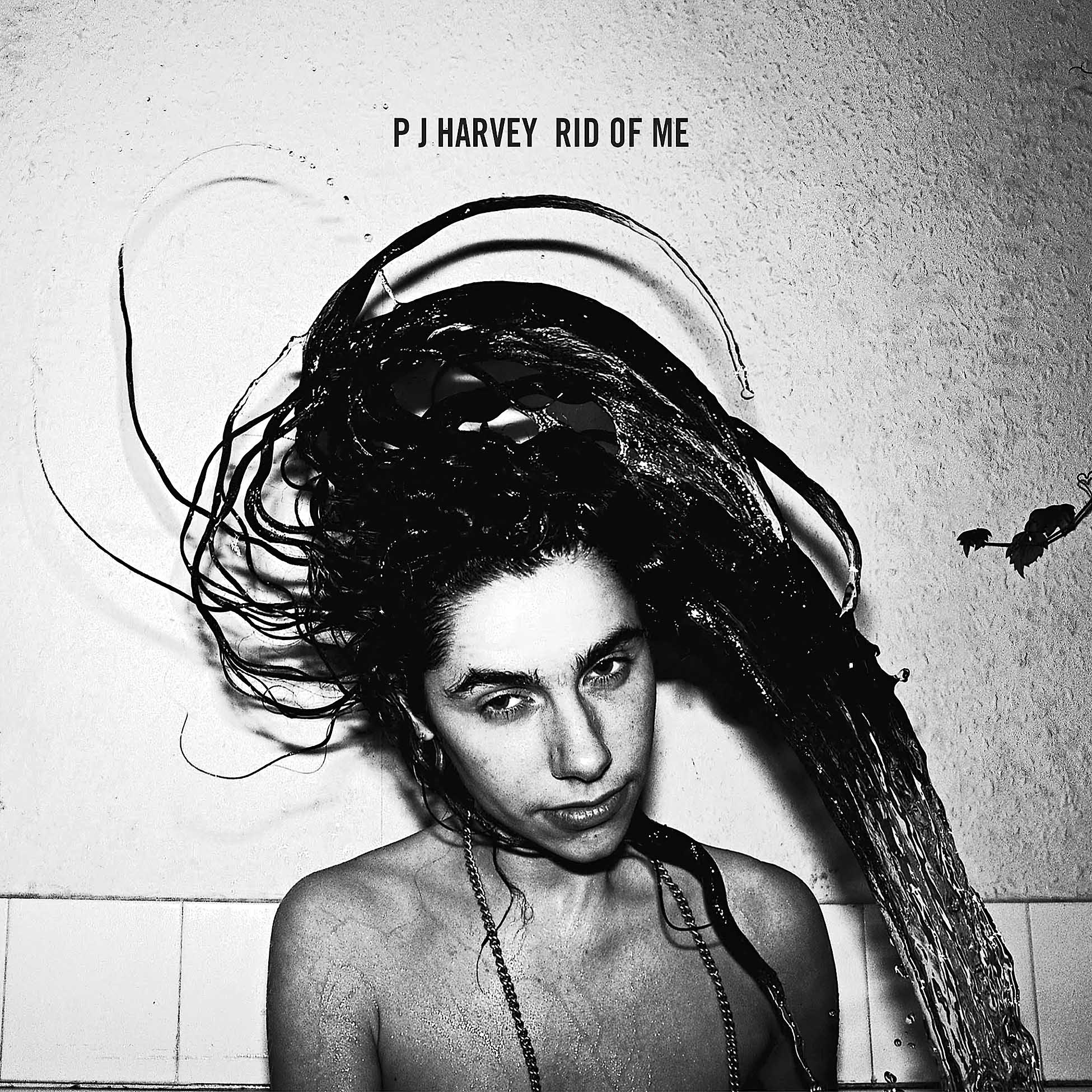 PJ Harvey - Rid Of Me album cover, black vinyl LP edition, 1993 alternative rock classic - shop ToucanRecords.com