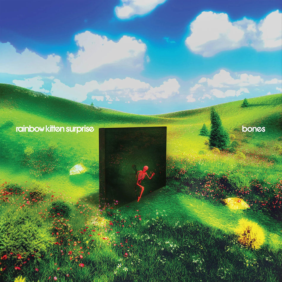 Rainbow Kitten Surprise - bones album cover, banana yellow vinyl edition, indie exclusive