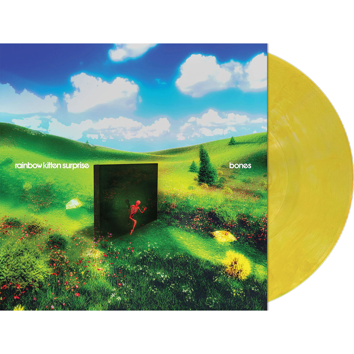 Rainbow Kitten Surprise - bones vinyl packshot, limited indie exclusive LP, genre-blending alternative rock