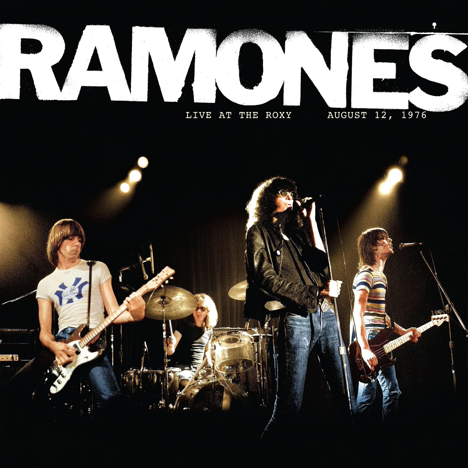 Ramones Vinyl Records Collection | Toucan Records