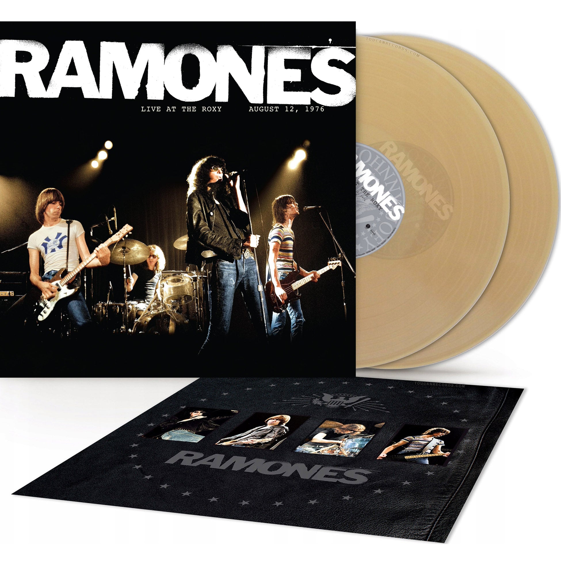 Ramones Vinyl Records Collection | Toucan Records