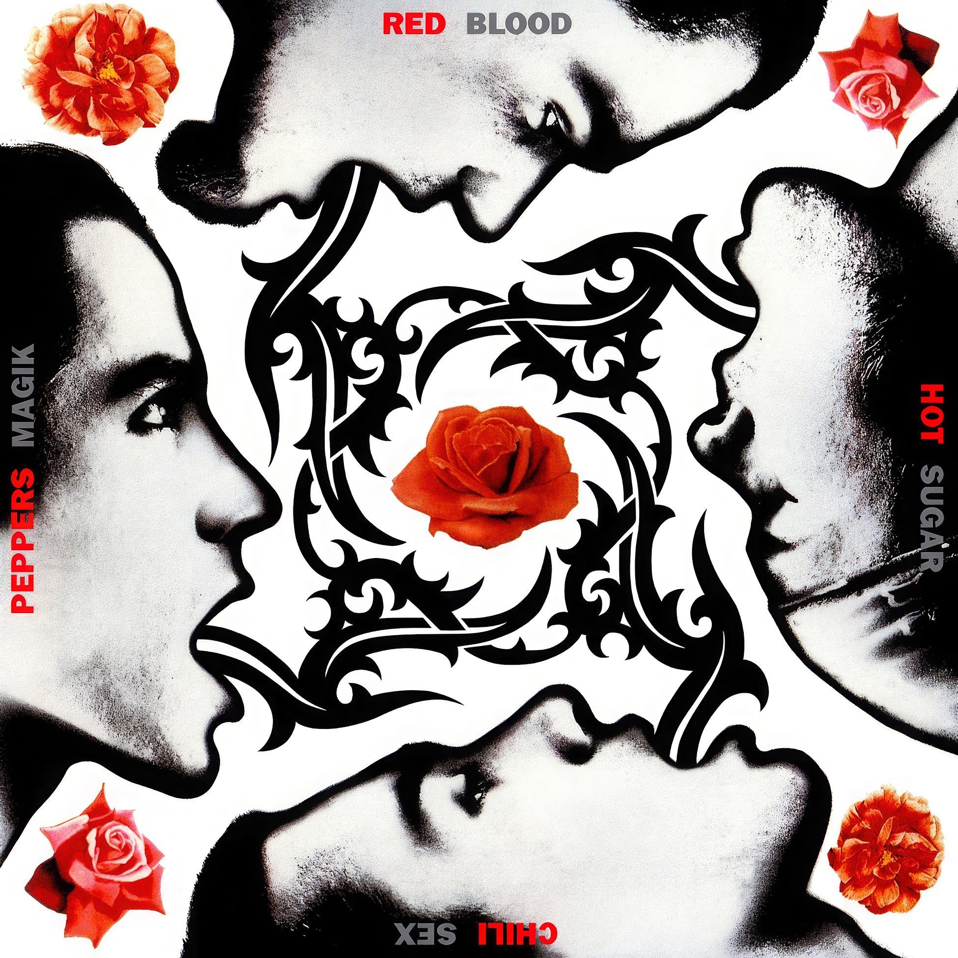 Red Hot Chili Peppers, Blood Sugar Sex Magik, 180g Vinyl, cover, album, vinyl
