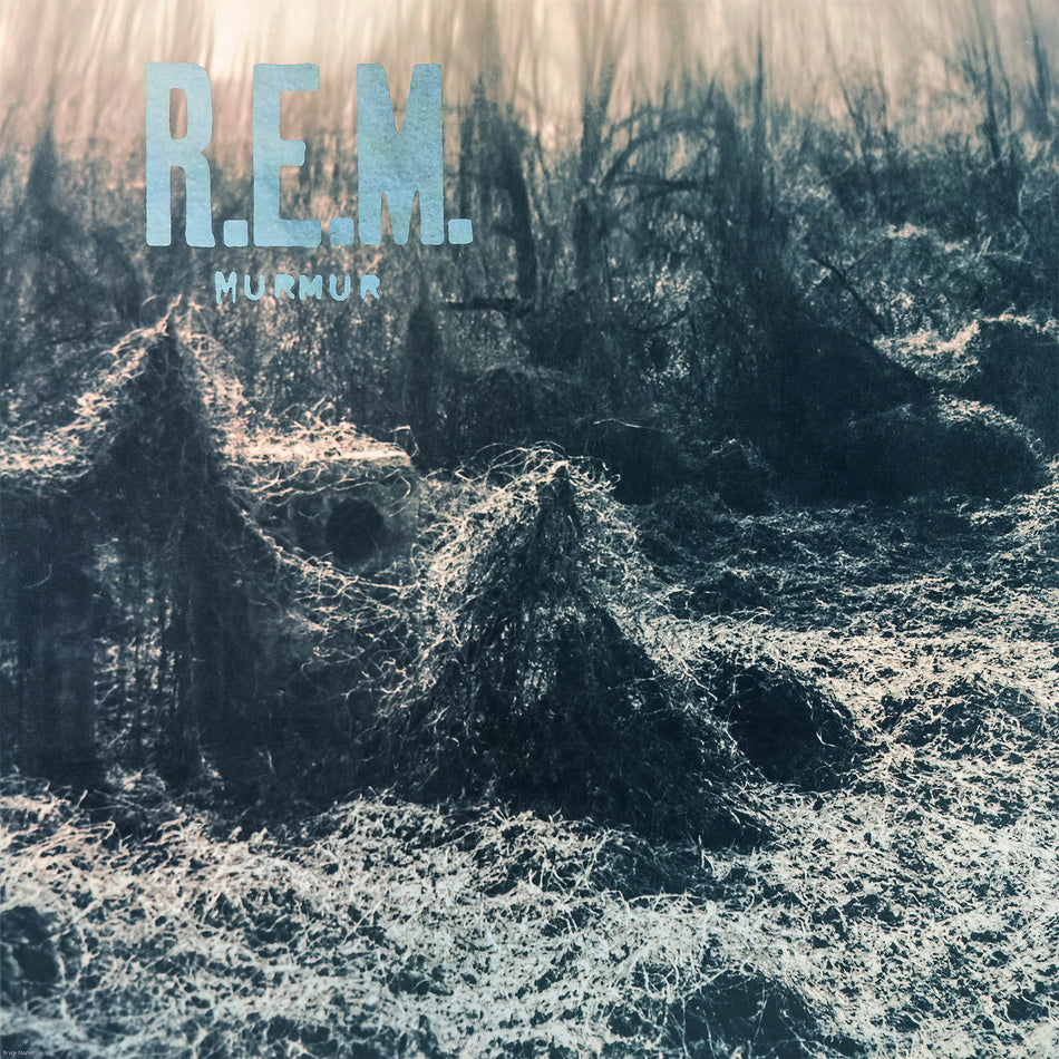 R.E.M. - Murmur album cover, 180-gram 2-LP black vinyl, alternative rock classic