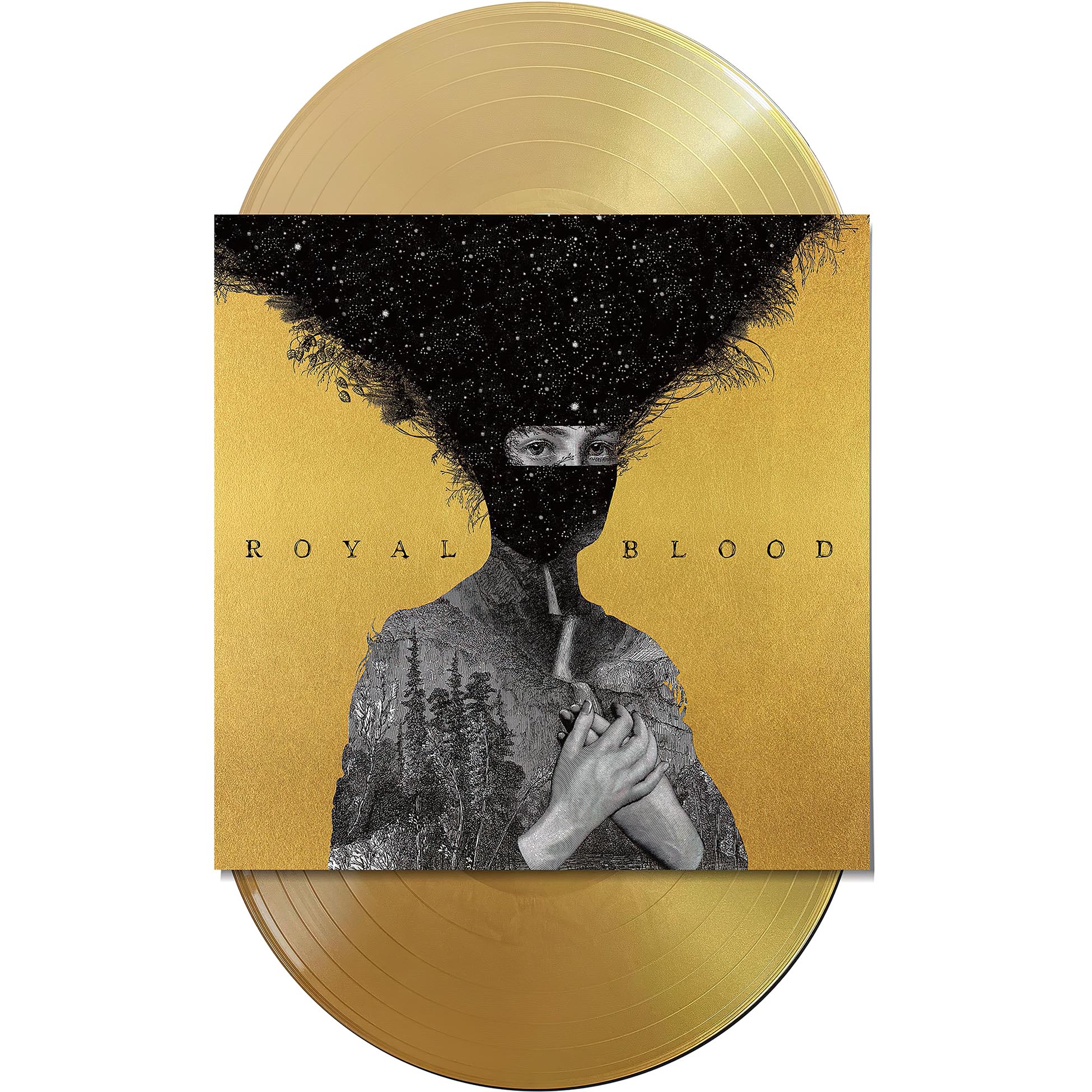 Royal Blood, debut, first album, 2 LP, Gold Vinyl, 10th Anniversary, cover, album, vinyl, packshot