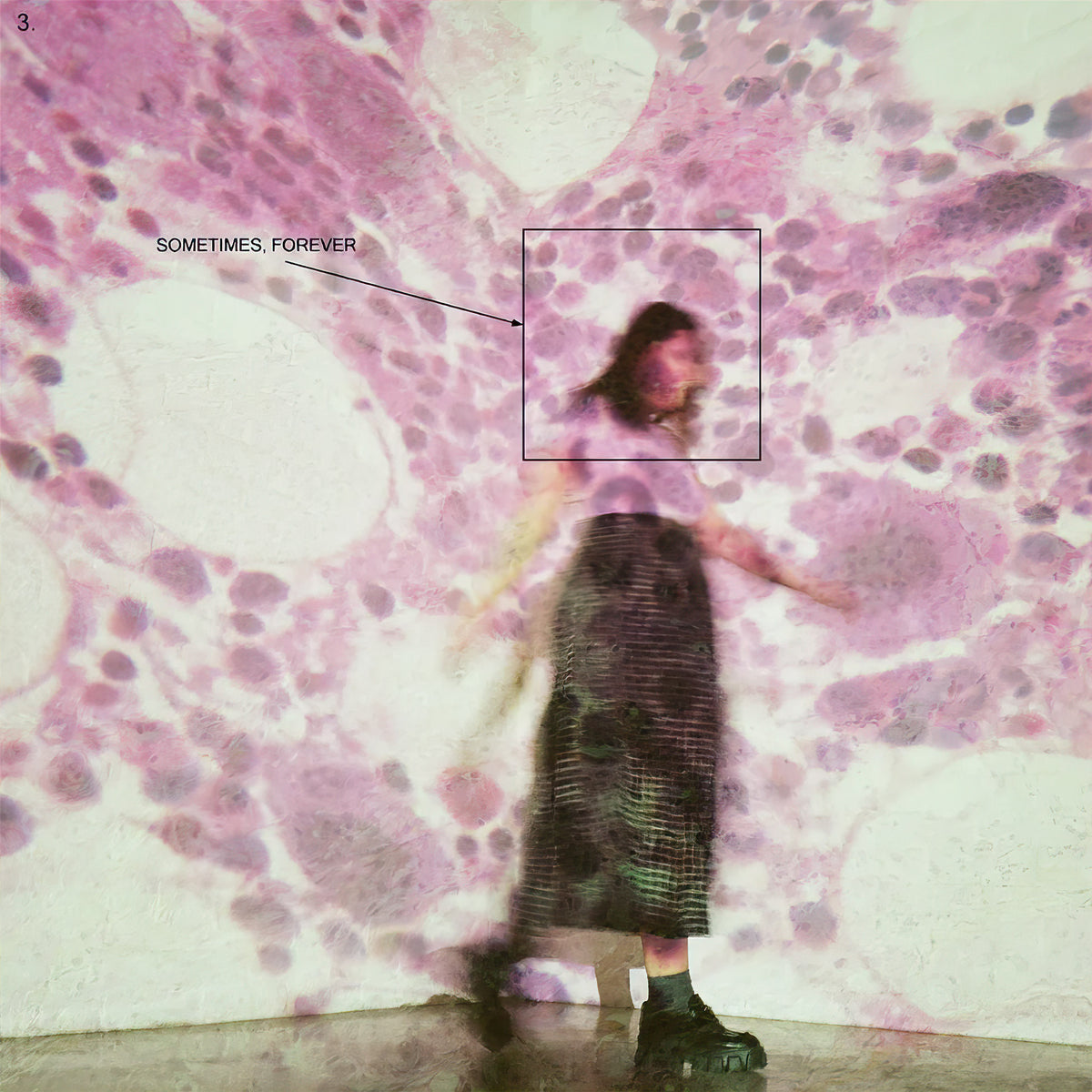 Soccer Mommy, Sometimes Forever, Indie Exclusive, Pink Vinyl, Black Splatter, Vinyl, cover, album, records