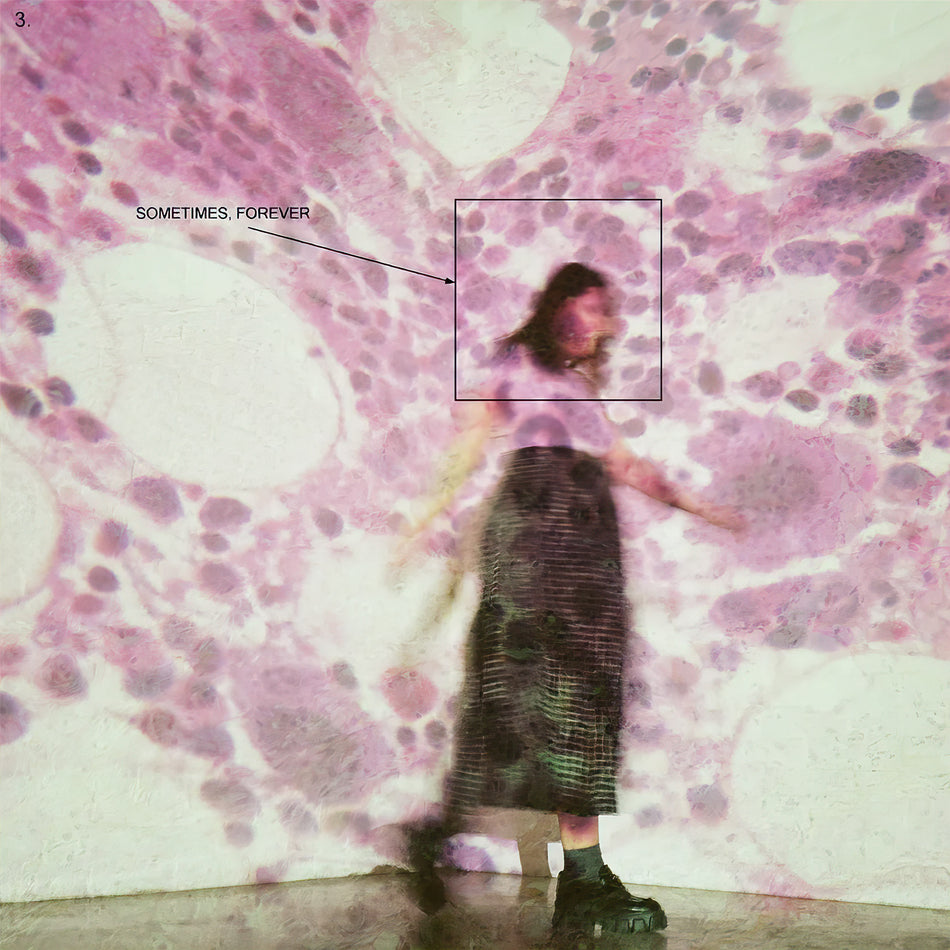 Soccer Mommy, Sometimes Forever, Limited Edition, Bone Colored Vinyl, cover, album, vinyl, 