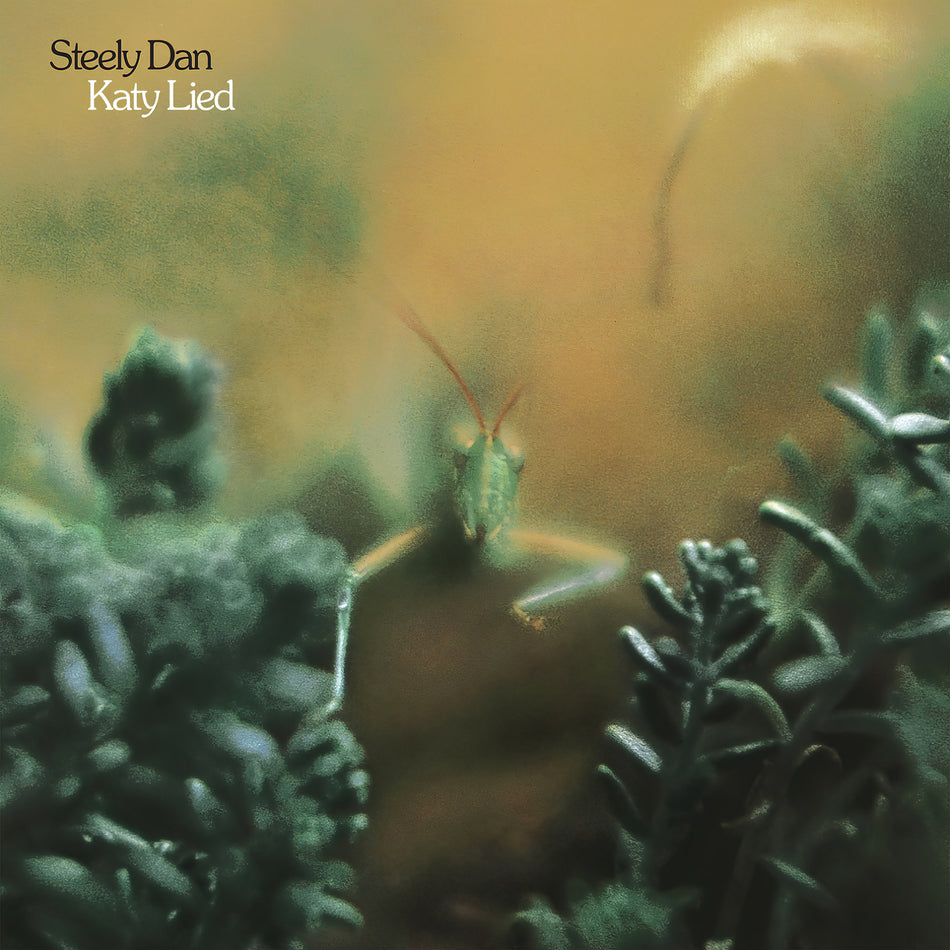 steely dan, katy lied, album cover, vinyl, cover, cover art, album art, black friday,