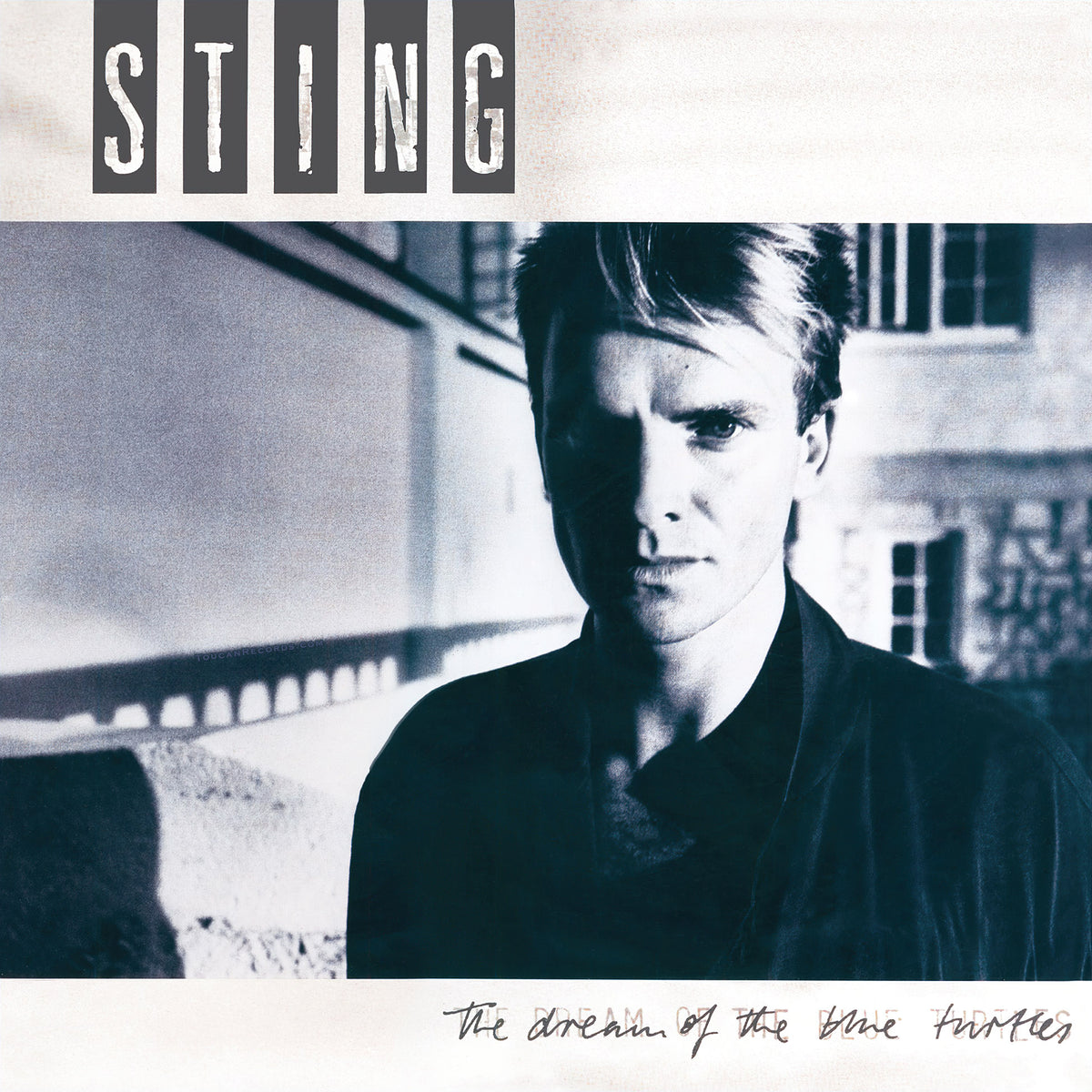 Sting - The Dream Of The Blue Turtles album cover for the 180g black vinyl LP featuring his jazz-influenced solo debut