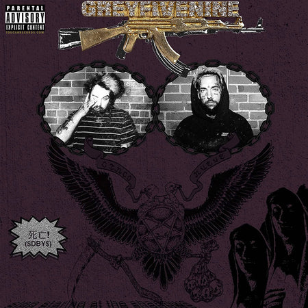 $uicideboy$ - Stop Staring At The Shadows album cover art for the Ghost Gray colored vinyl LP available at ToucanRecords.com.