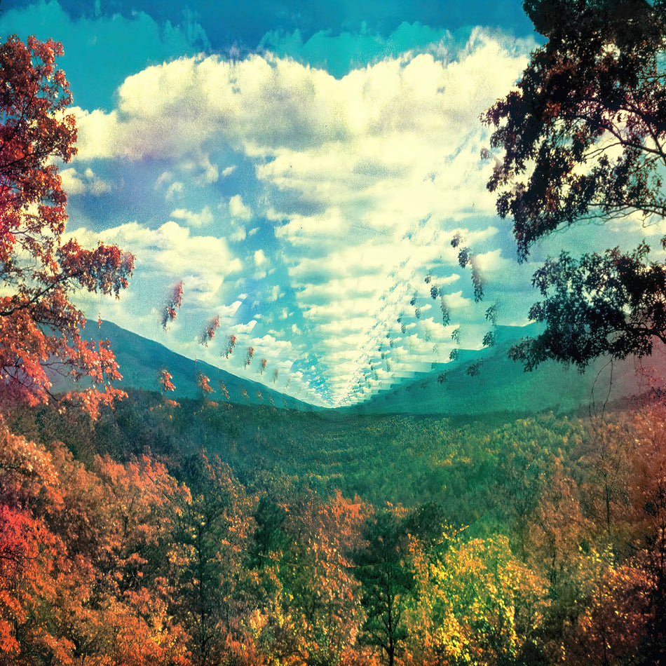 Tame Impala - Innerspeaker album cover, black vinyl 2LP edition, gatefold packaging - available at ToucanRecords.com