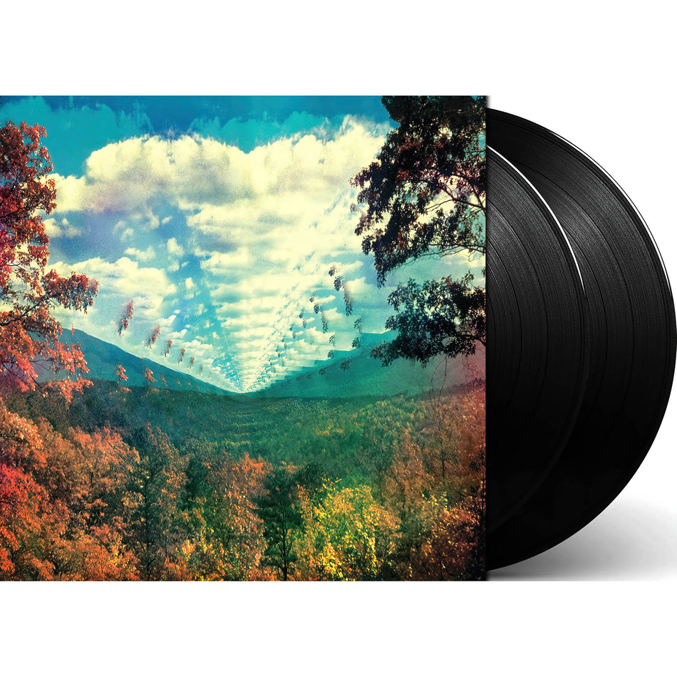 Tame Impala - Innerspeaker packshot, black vinyl double LP pressing, modern psychedelic rock