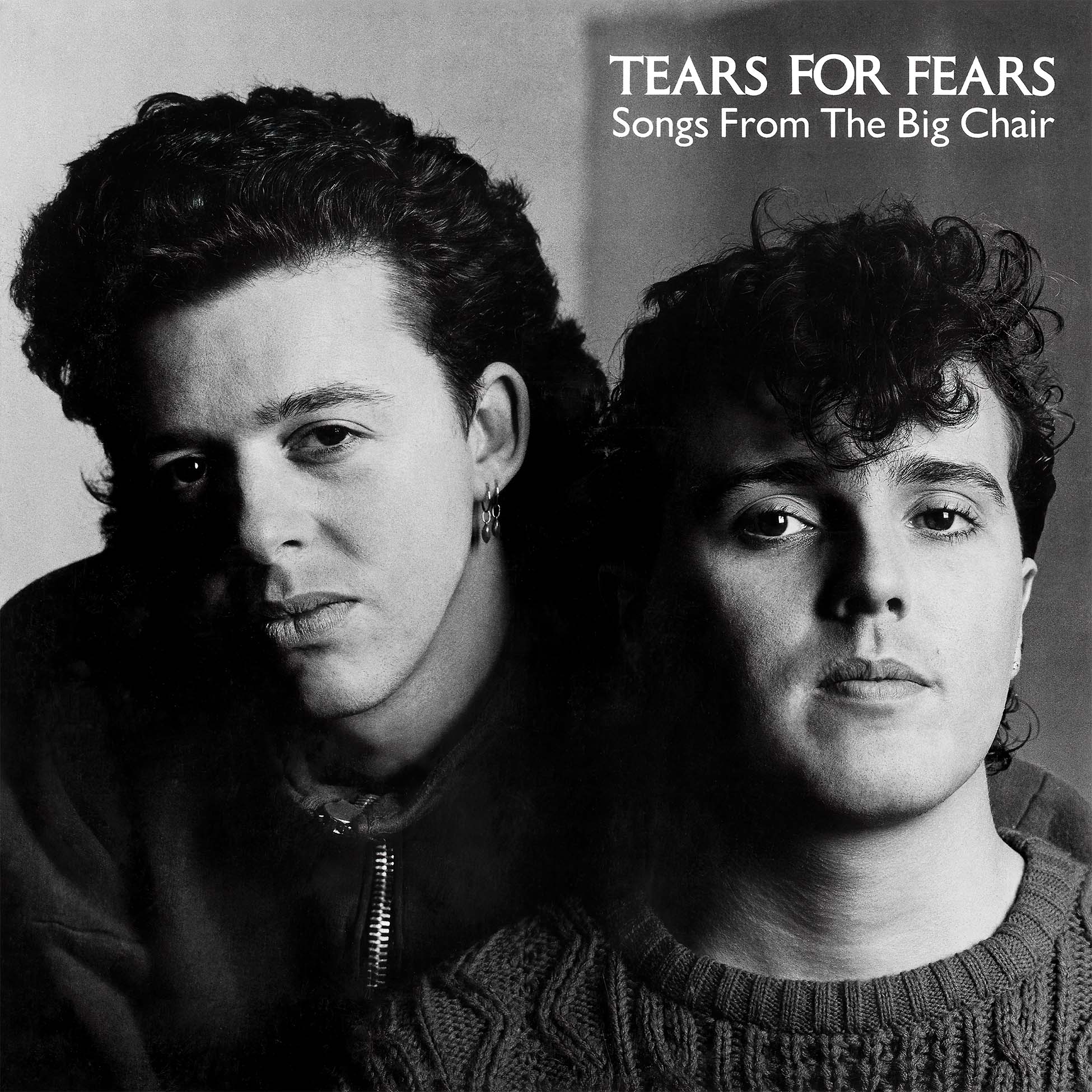 Tears For Fears Songs From The Big Chair album cover 180g black vinyl