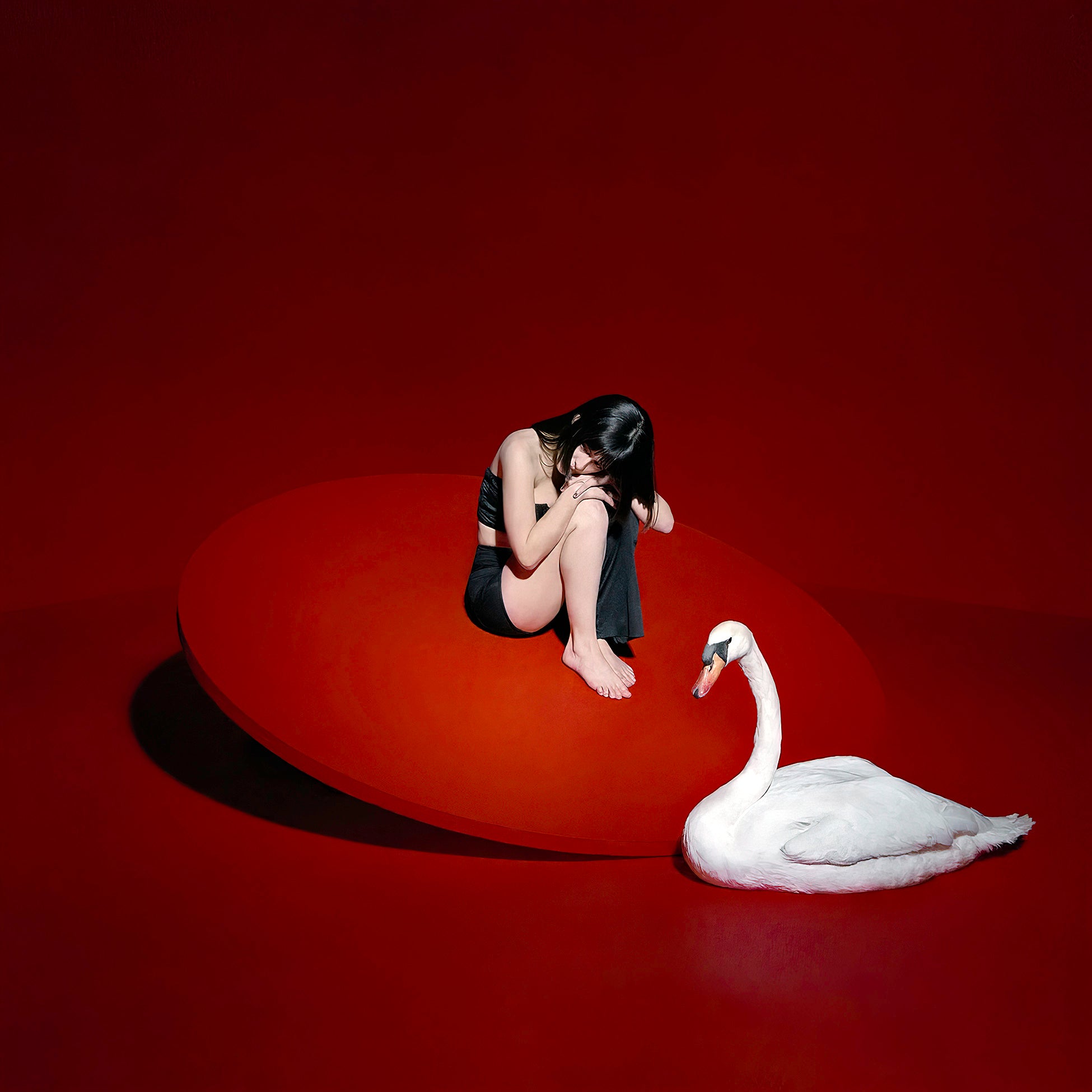 The Marias - Cinema album cover, black vinyl pressing with printed inner sleeve, 2021 debut, indie pop, swan cover