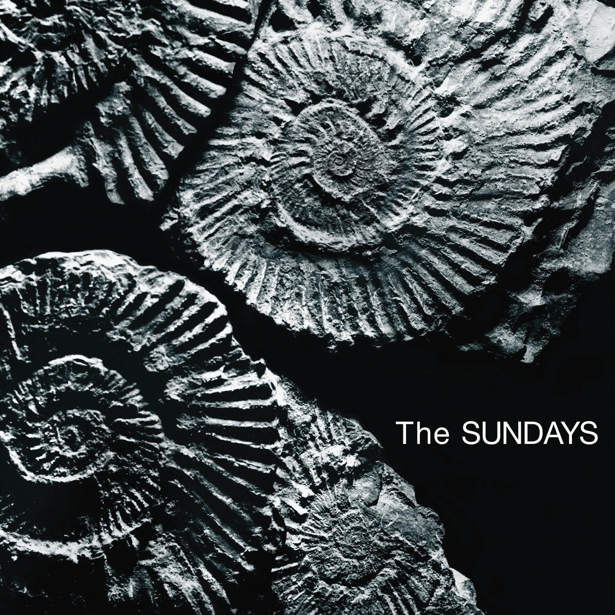 The Sundays Reading Writing And Arithmetic vinyl record cover art, 1990s alternative rock indie pop album