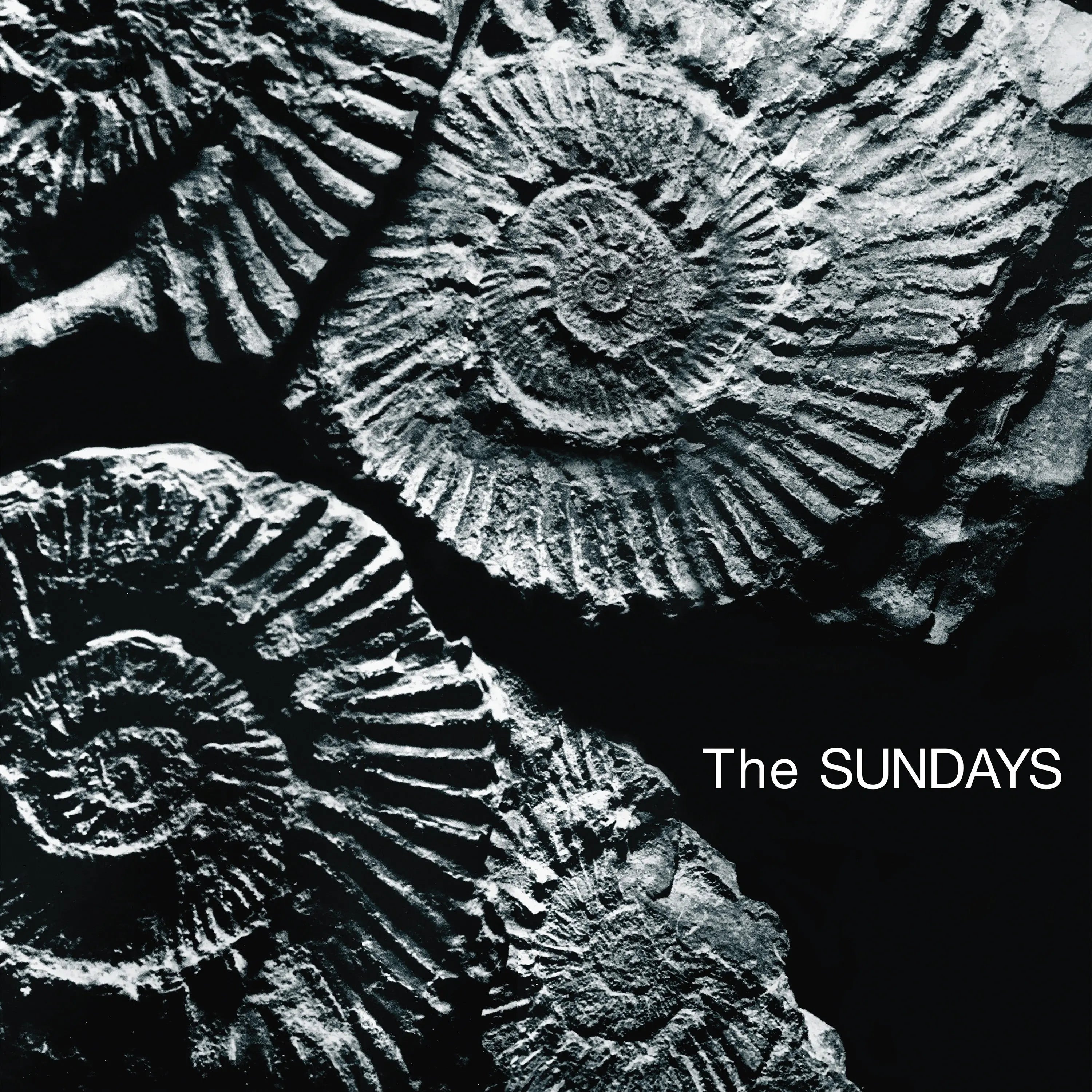 The Sundays Reading Writing And Arithmetic vinyl record cover art, 1990s alternative rock indie pop album