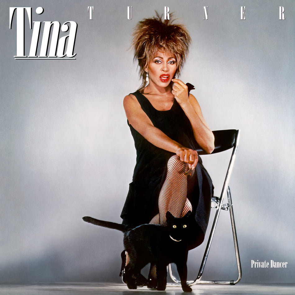 Tina Turner, Private Dancer, records, cover, album, vinyl, better be good to me, What's Love Got To Do With It,
