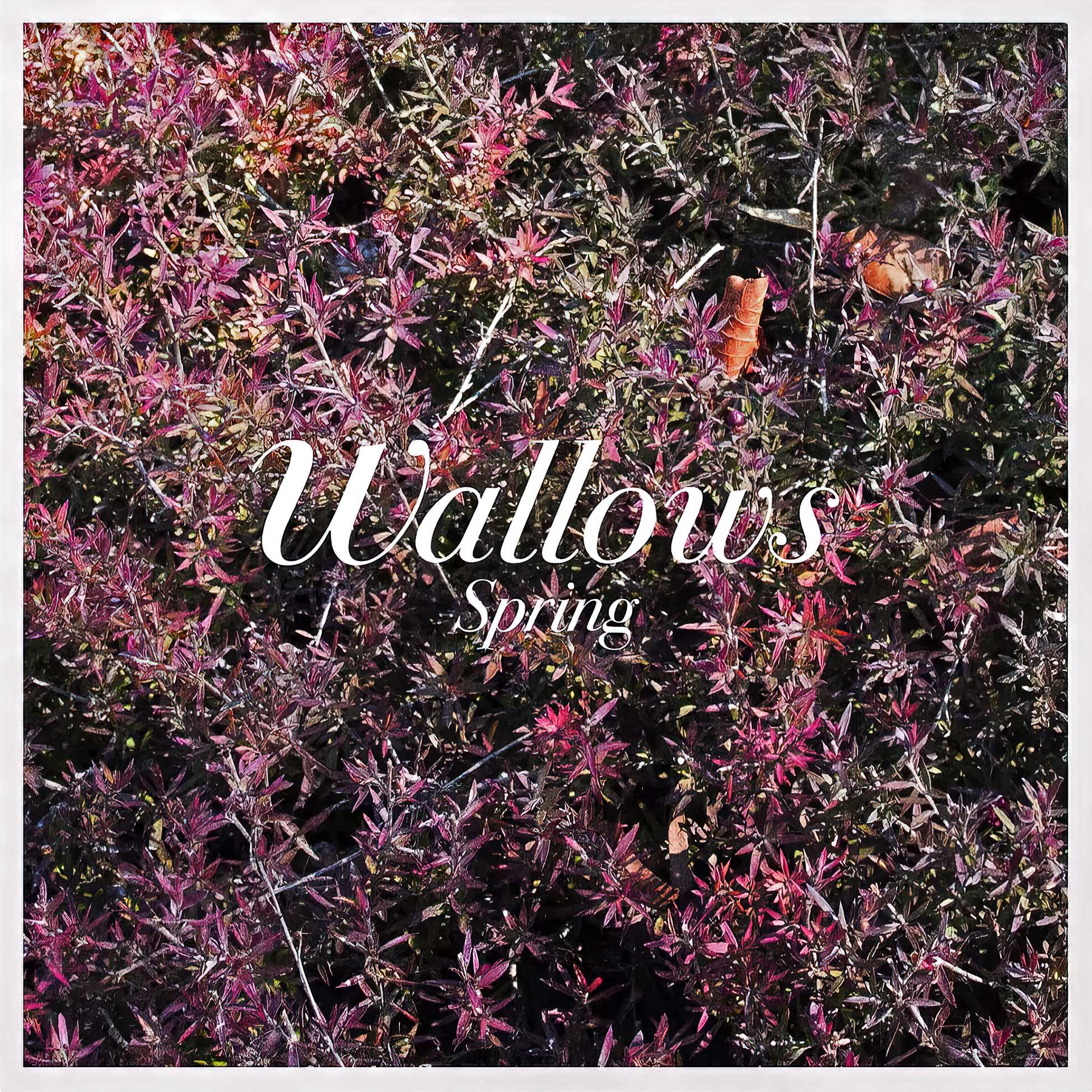 Wallows - Spring album cover, pink and green vinyl EP, indie rock and alternative release — offered by ToucanRecords.com