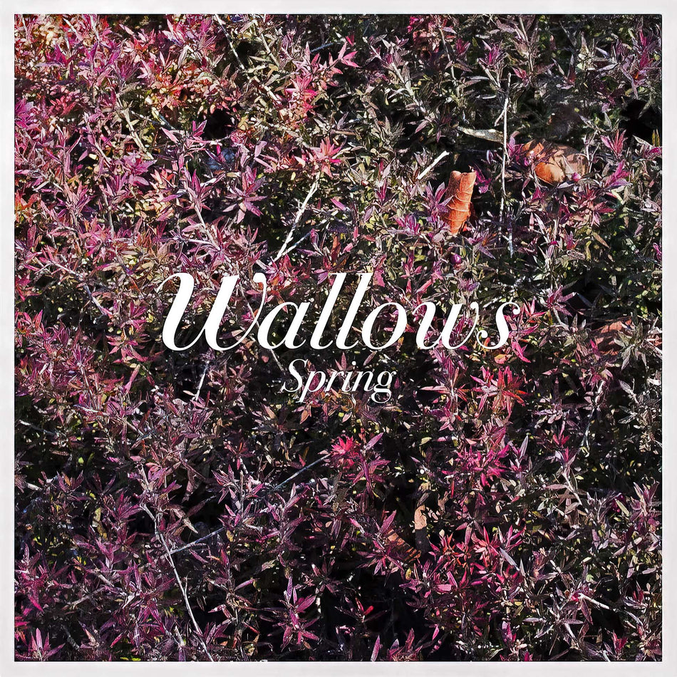 Wallows - Spring album cover, pink and green vinyl EP, indie rock and alternative release — offered by ToucanRecords.com