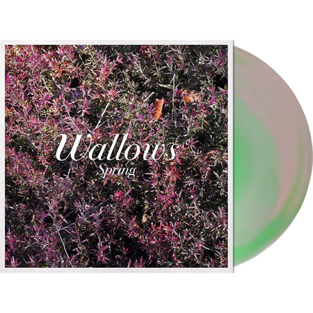 Wallows - Spring packshot, colorful pink and green vinyl pressing, indie pop EP — featured in the collection at ToucanRecords.com