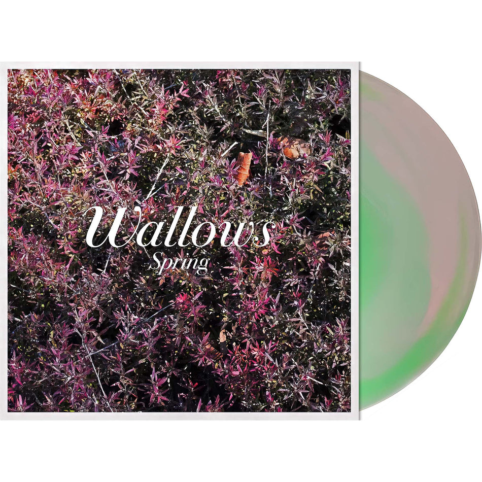 Wallows - Spring packshot, colorful pink and green vinyl pressing, indie pop EP — featured in the collection at ToucanRecords.com