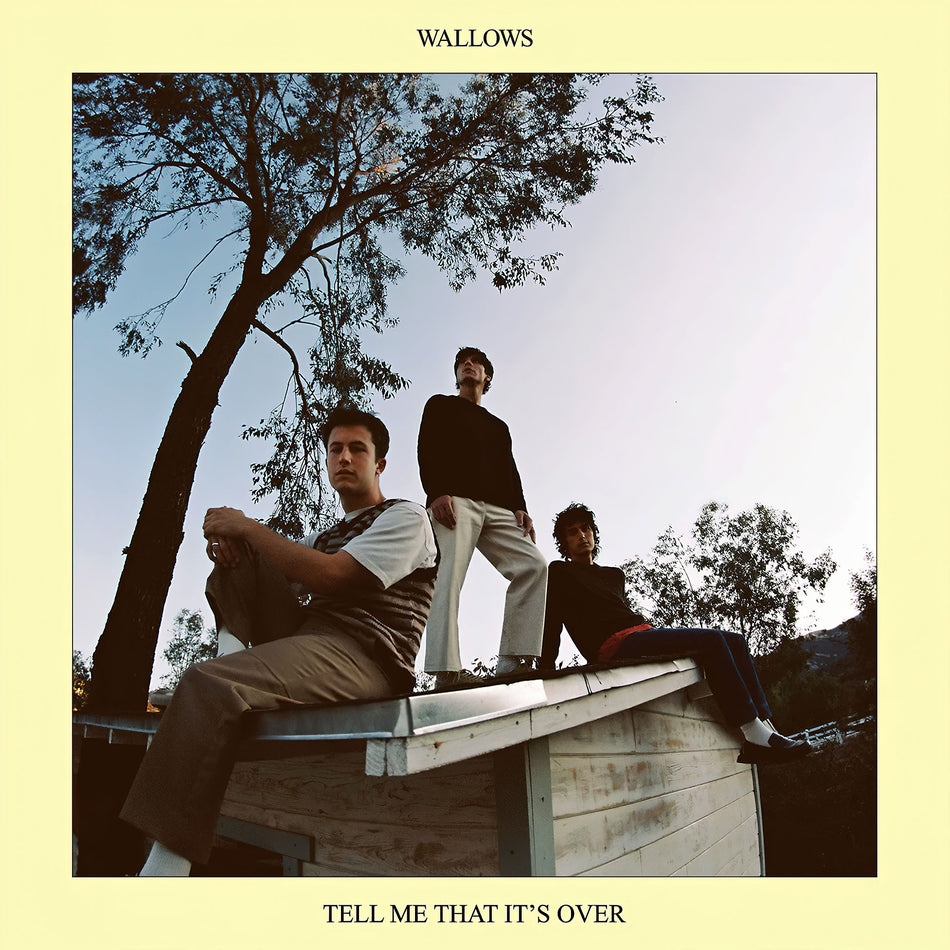 Wallows – Tell Me That It’s Over album cover, yellow vinyl LP edition, indie rock record sold at ToucanRecords.com