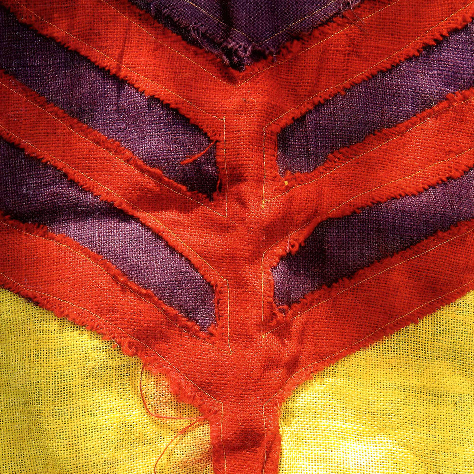 Yeah Yeah Yeahs - Show Your Bones album cover, marble colored vinyl LP, RSD Essential, indie exclusive, limited edition pressing - available at ToucanRecords.com